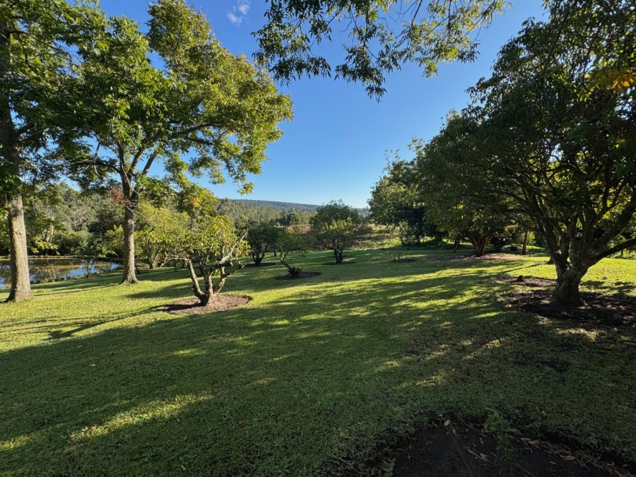 Commercial Property for Sale in Harkerville A H Western Cape